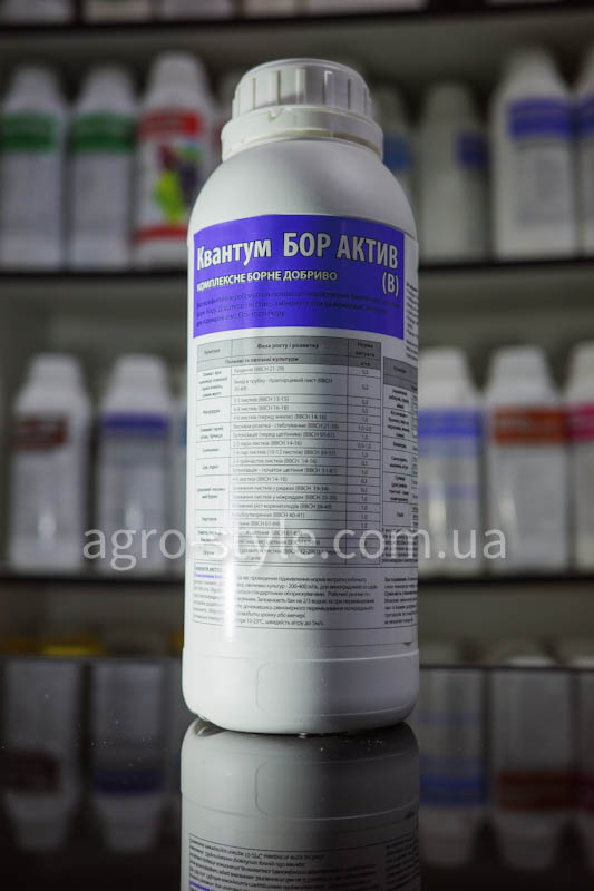 quantum-bor-aktiv-1l