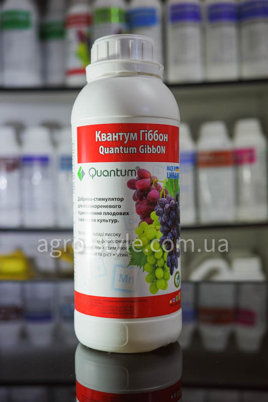 quantum-gibbon-1l