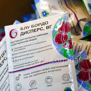 blu-bordo-50g