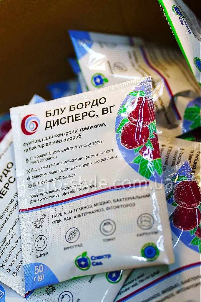 blu-bordo-50g