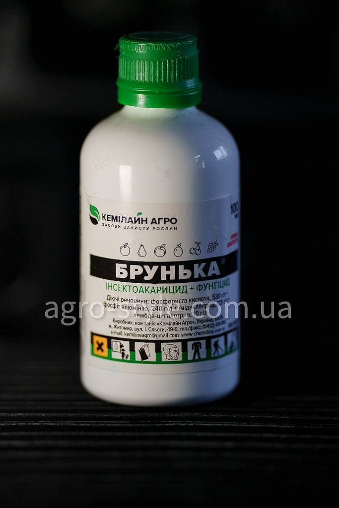 brunka_100
