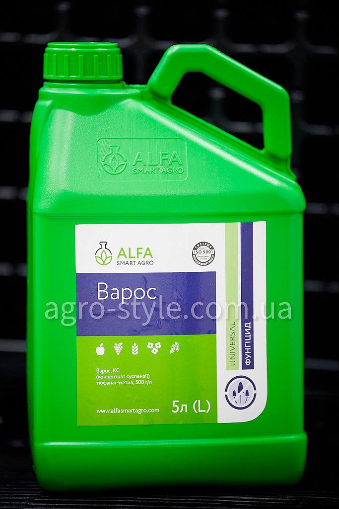 Варос 5 л Фунгіцид Агростиль