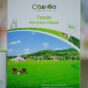 Газон Посухостійкий 800 г (Данія) "Садиба"
