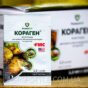 Кораген 1,2 мл інсектицид FMC хлорантраніліпрол від колорадського жука плодожерки совок листовійок для картоплі яблуні томатів винограду